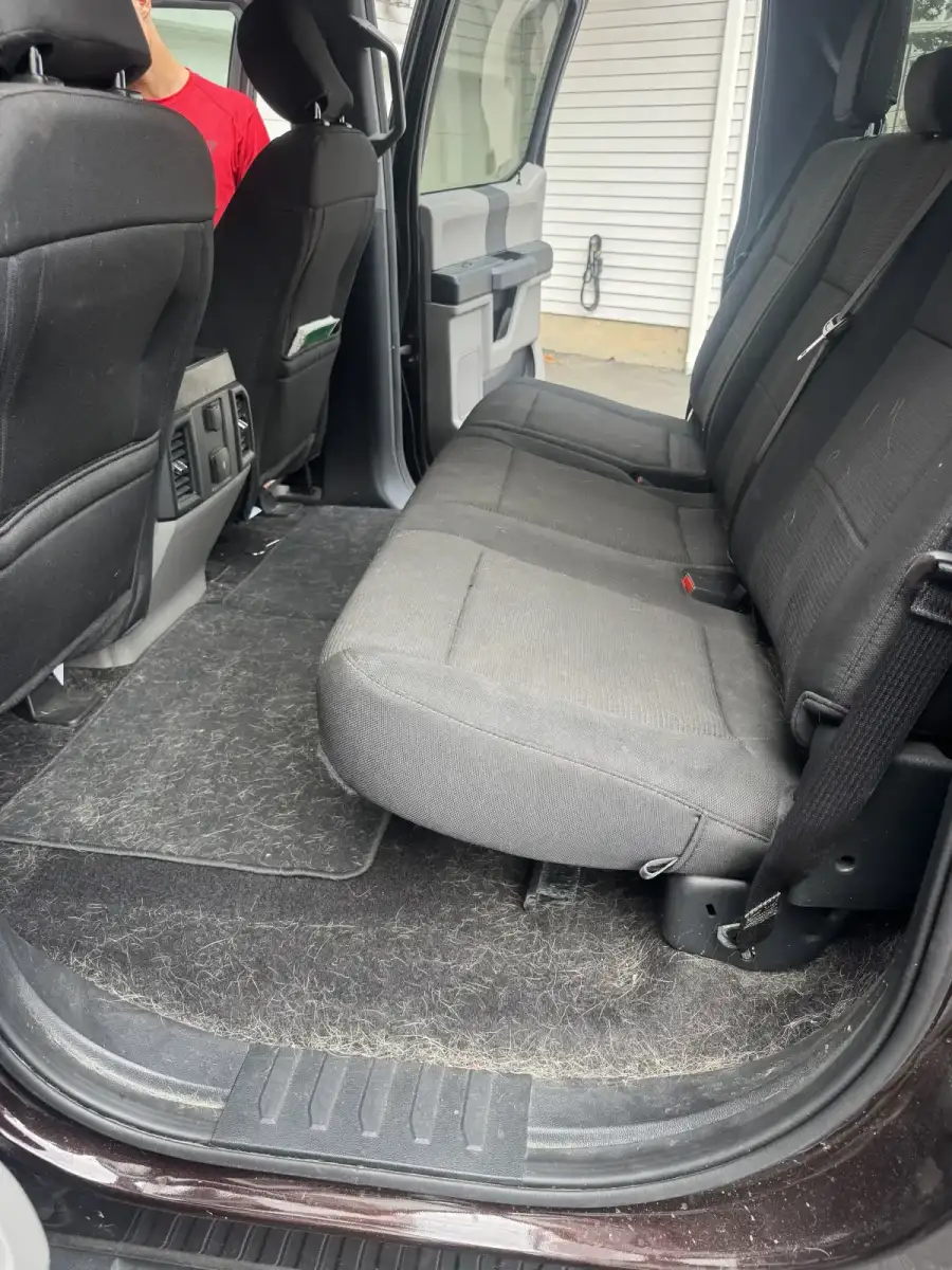 Morris Plains, NJ, pet hair in car before removal